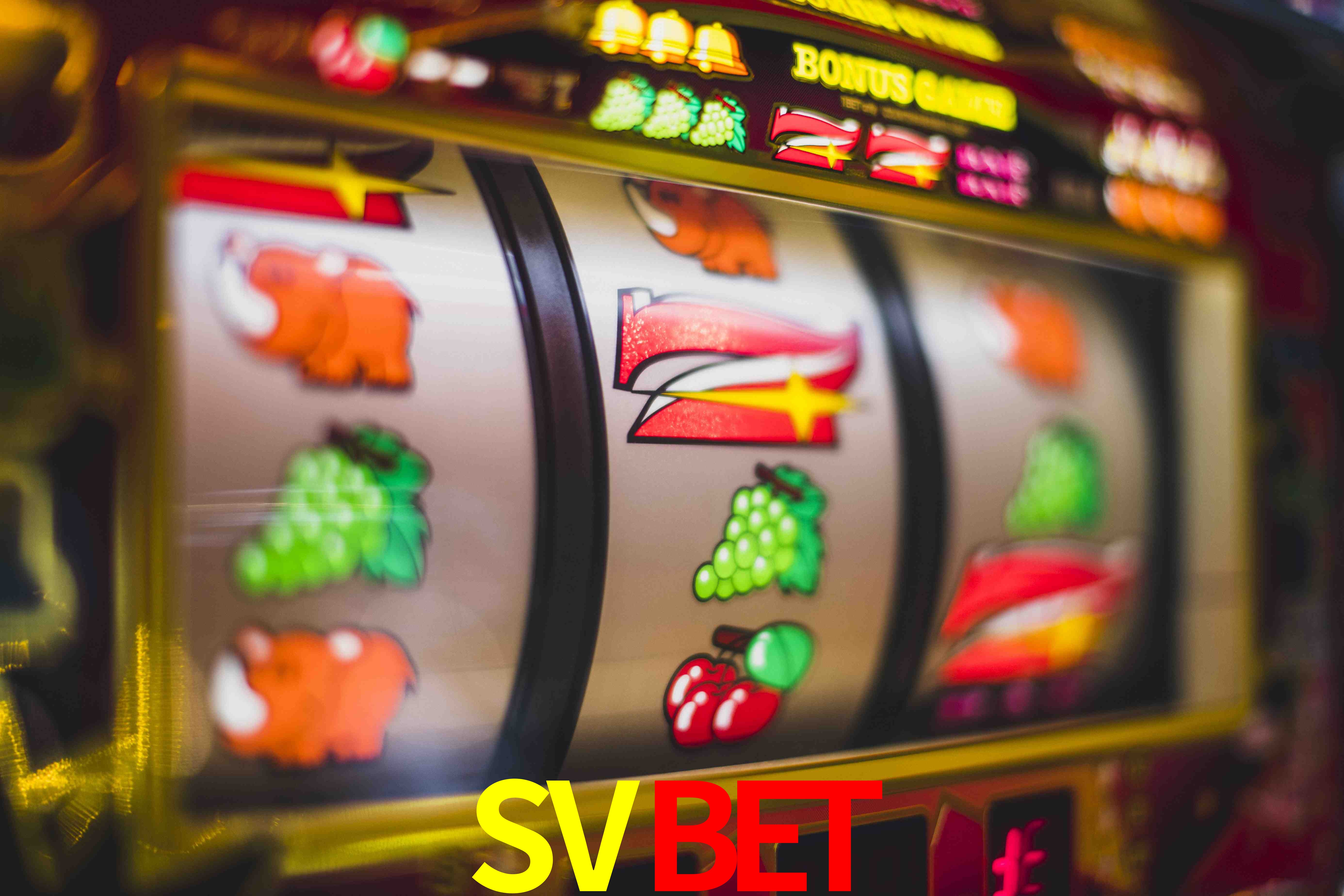 VIP Casino SVBET